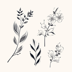 A hand-drawn floral branch featuring minimalist flowers, suitable for use in logos or tattoos. This elegant design incorporates delicate leaves and wedding herbs
