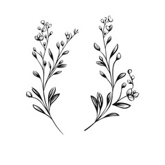 A hand-drawn floral branch featuring minimalist flowers, suitable for use in logos or tattoos. This elegant design incorporates delicate leaves and wedding herbs