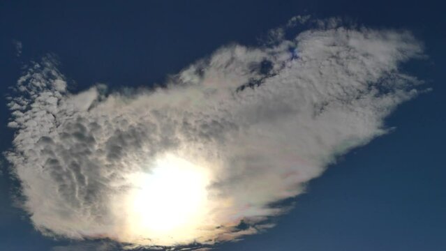 Blue sky, flying birds and clouds Iridescence, Irisation around sun - colorful optical phenomenon at high level of clouds in real time. Topics: weather, meteorology, optical phenomenon, natural colors