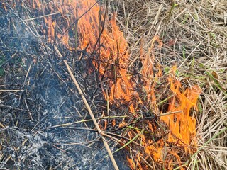 fire was burning in the dry grass on the side of the road.