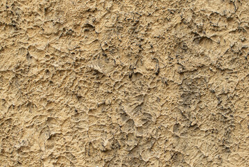 The grunge texture of the plaster. Rough wall treatment, old wall. Textured