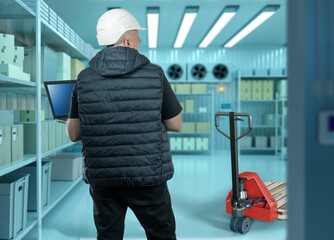Man in industrial refrigerator. Warehouse freezer. Man with laptop in warehouse refrigerator. Warehouse manager back to camera. Industrial freezer. Refrigeration room with shelving and pallet jack - Powered by Adobe