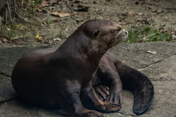 Fototapeta premium Views around Singapore , Asia,