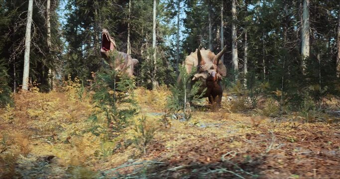 A Tyrannosaurus is about to attack a young Triceratops in the forest.