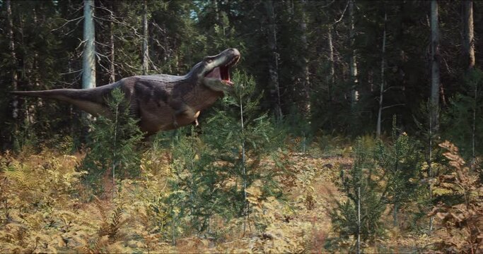 A Tyrannosaurus is about to attack a young Triceratops in the forest.