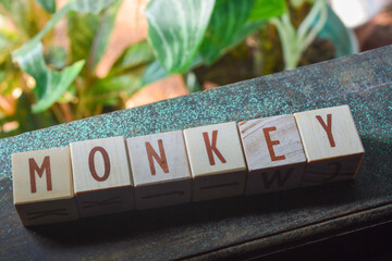 Photo of wooden blocks that make up the vocabulary 