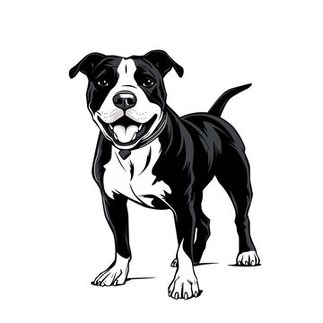 black and white pitbull dog illustration design on a white background