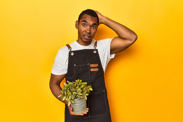 African American man gardener with plant, yellow studio, being shocked, she has remembered...