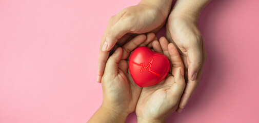 red heart in adult hands on pink background , health care, organ donation, family life insurance, world heart day,brain stroke.