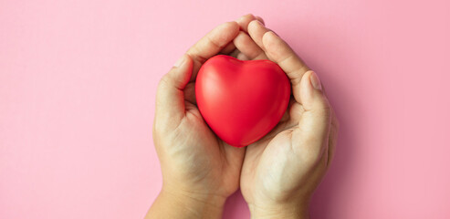 red heart in adult hands on pink background , health care, organ donation, family life insurance, world heart day,brain stroke.
