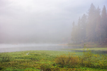 landscape with lake among forest in cold morning mist. nature scenery with green grassy shore in fall season