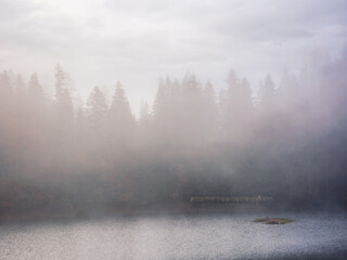 mountain lake among forest in autumn. nature scenery in fog at sunrise. silhouettes of spruce trees in hazy atmosphere