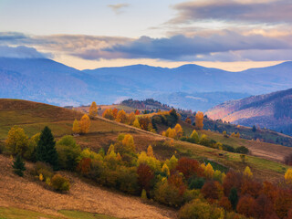 mountainous rural landscape at sunrise. countryside scenery in autumn in morning light. trees in colorful foliage on the rolling hills
