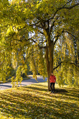 Bois de Boulogne in Paris in autumn with a woman under a big tree with orange and yellow colours
