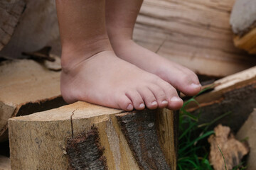 Child feet on wood log, barefoot little girl on tree trunk, countryside lifestyle, concept of grounding and connecting with nature