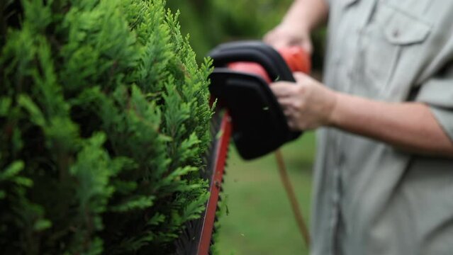 Woman gardener trimming overgrown bush by electric hedge trimmer. Pruning thuja. Gardening tool in slow motion video