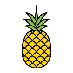 Pineapple fruit. Tropical sweet ananas. Vector illustration isolated on white.