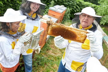 Senior apiarists with girls examining honeycomb and smoker