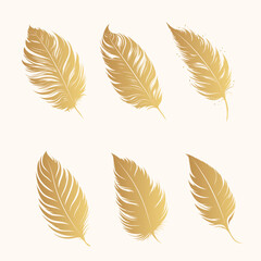 Boho feathers set. Hand drawn golden design elements isolated on white background. Vector illustration for web design, t-shirts and print.