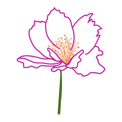 Obraz premium Peony flower illustration. Hand drawn vector image.