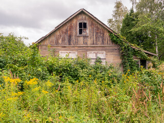 Old dilapidated wood cottage in green shrub front view