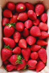 Close up on box full of strawberries, top view. Nutritional product from local farm in Huelva, Spain