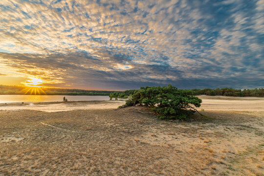 A dramatic and colourful sunset over the Lommelse Sahara, a National Park with sand dunes in Belgium with beautiful reflections in the lake of the clouds and natural colours.