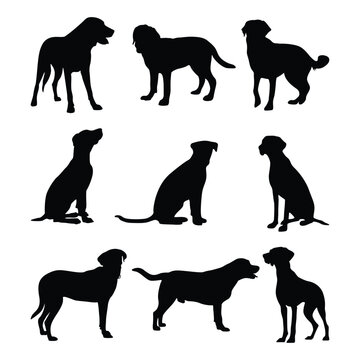 labrador retriever dog silhouette in different positions isolated on white background. vector eps 10