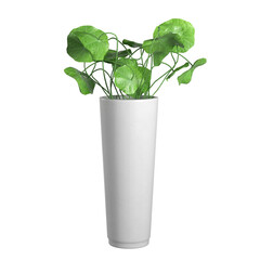 plant in a pot On transparent background PNG file. Can be used for invitations, greeting, wedding card