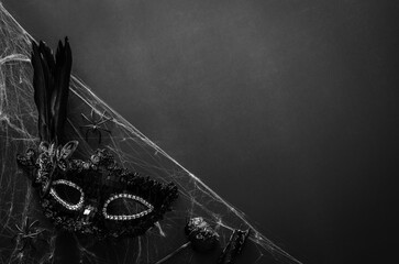 Halloween party concept with black party fancy mask on cobweb with black background.