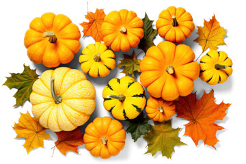 pumpkin with maple leaves, png file of isolated cutout object with shadow on transparent background.