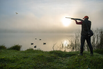 hunter shooting to the flying duck. hunting season. - obrazy, fototapety, plakaty