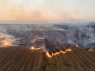 Fire burn on rice plantation field after rice crop