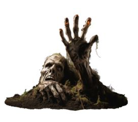 undead zombie stuck his hand out of the ground, png file of isolated cutout object with shadow on transparent background.