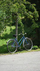 Fototapeta premium bicycle in the garden green lawn, City park. bike in the park. a blue lady's bicycle stands near a tree. cycling, walking, sports, outdoors in nature. transport for country walks