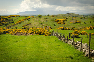 The Mourne Mountains in County Down, Northern Ireland 