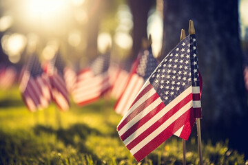 Naklejka premium A heartfelt tribute to those who serve: the American flag at a military cemetery