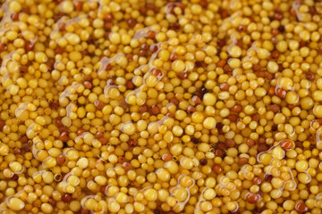 French dijon mustard close up