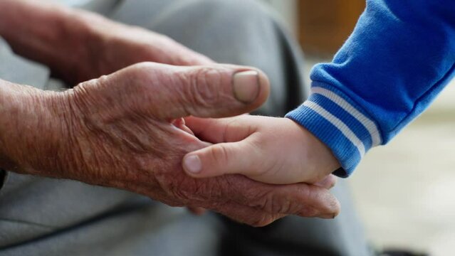 A small child's palm embraces the wrinkled hands of an elderly man who have endured many life stories. High quality 4k footage