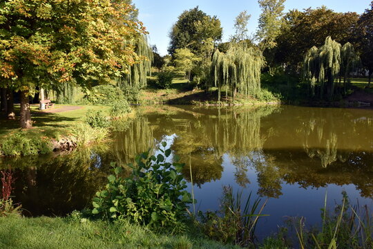 See im Kurpark von Bad Zwesten