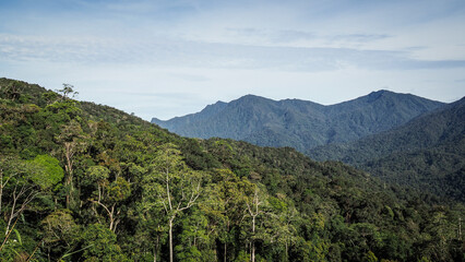 Fototapeta na wymiar The landscape of Cameron Highlands in Malaysia