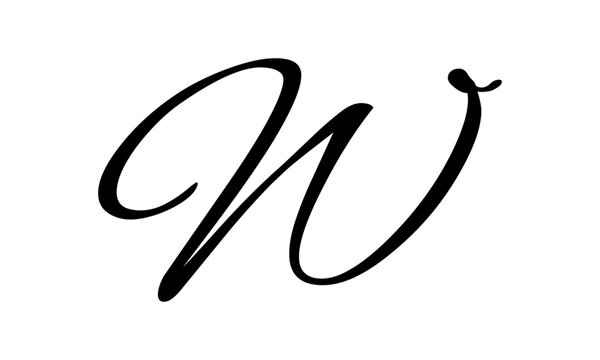 Luxury letter w logo