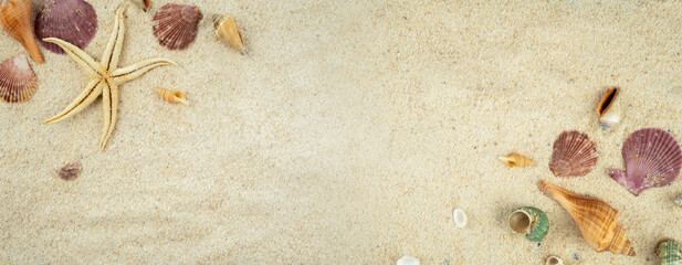 Fototapeta na wymiar Beach sand with shells and starfish. Summer frame banner