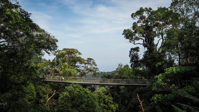 The landscape of Penang Hill in Malaysia