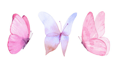 Set of three pink butterflies isolated. Watercolor. Illustration. - 650727864