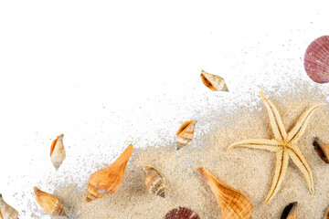 Plakat shell on the beach sand