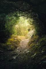 Badkamer foto achterwand Tunnel in the Anaga forest Tenerife © Ilia