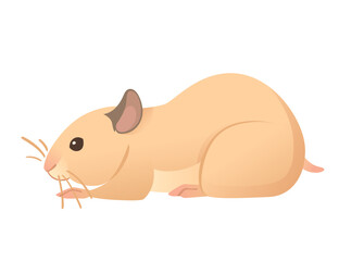 Light brown hamster cute cartoon animal design vector illustration isolated on white background
