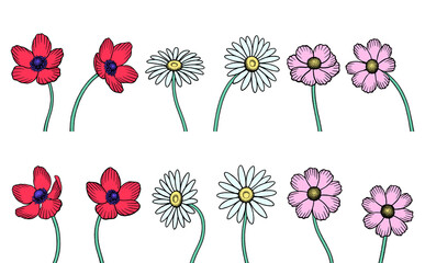 Colorful hand-drawn flower illustration collection isolated on transparent background, botanical art, line art style