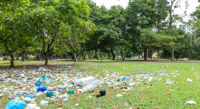 The park is littered with plastic waste, an environmental problem.